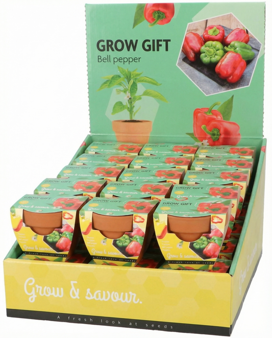 Paprika i terrakottakruka (Capsicum annuum) – odlingskit med frön från SeedsChoice