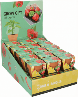 Paprikafrön Capsicum Annuum Grönsak Odlingskit Terrakottakruka