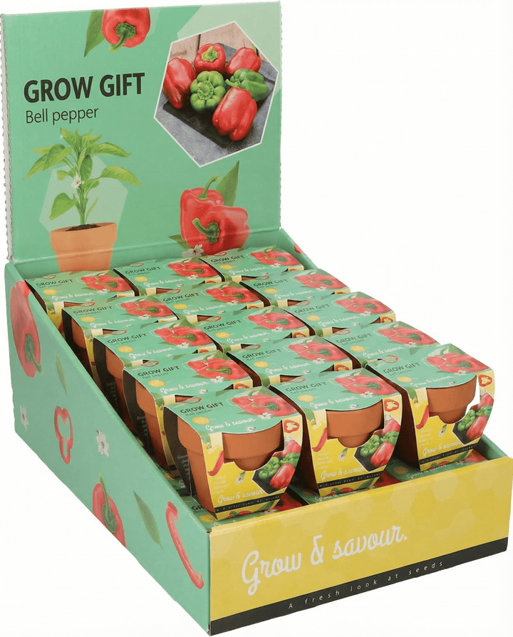 Paprikafrön i terrakottakruka (Capsicum annuum) – odlingskit