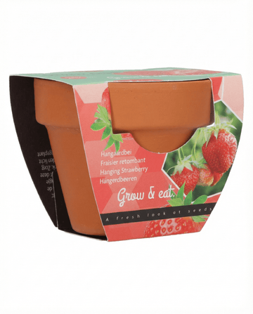 Hängande jordgubbe (Fragaria × ananassa) – fleråriga frön från SeedsChoice