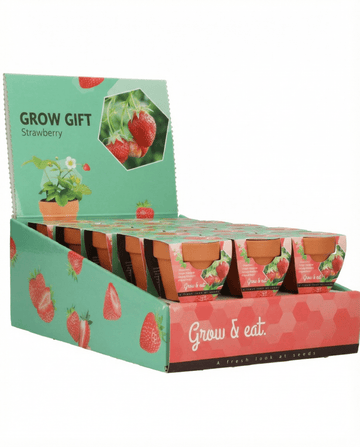 Fragaria × ananassa – Hängjordgubbe odlad från frö