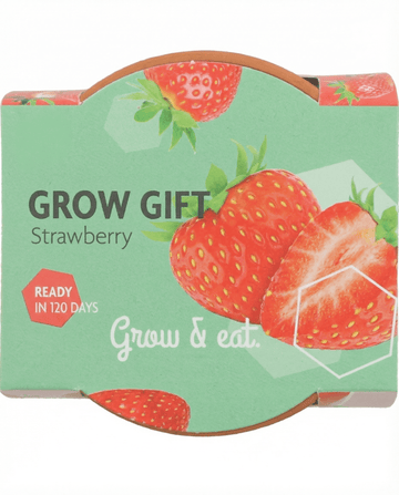 Hängande jordgubbsfrön (Fragaria × ananassa) – flerårig