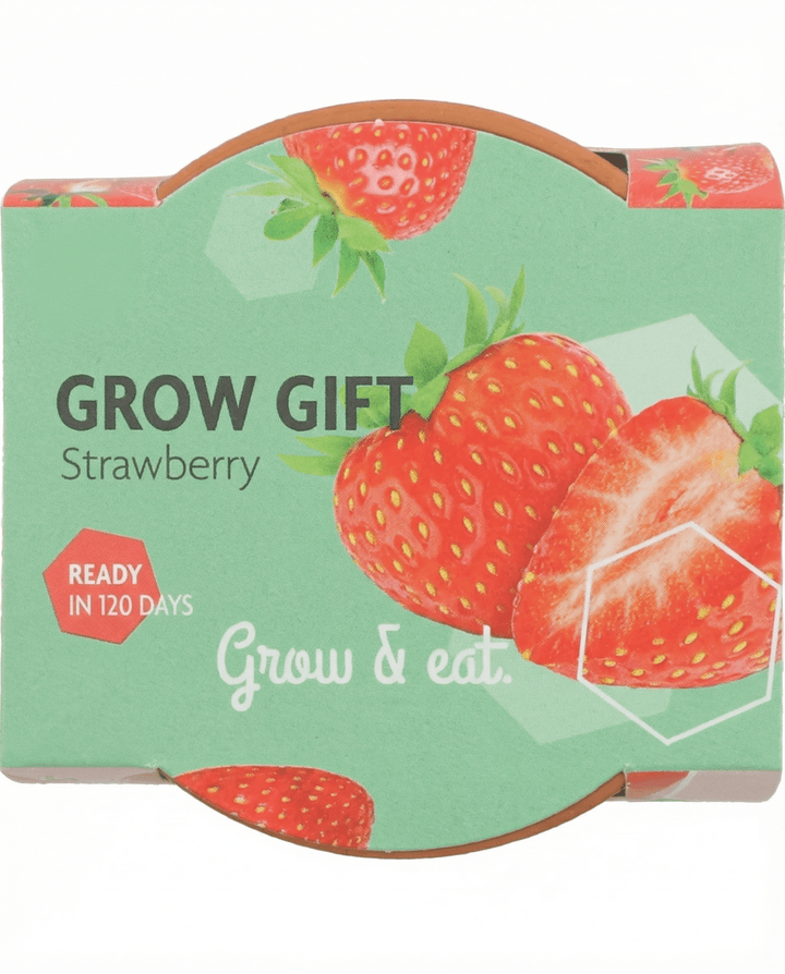 Hängande jordgubbsfrön (Fragaria × ananassa) – flerårig