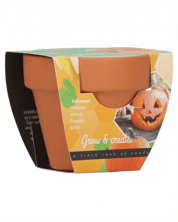 Halloween-pumpa (Cucurbita pepo) – odlingskit med frön från SeedsChoice