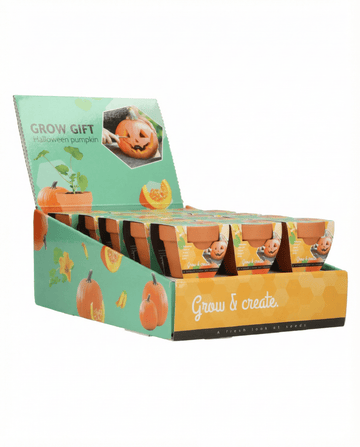 Halloweenpumpafrön – odlingskit från SeedsChoice