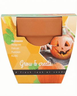 Halloweenpumpafrön Cucurbita Pepo – odlingskit för grönsaker