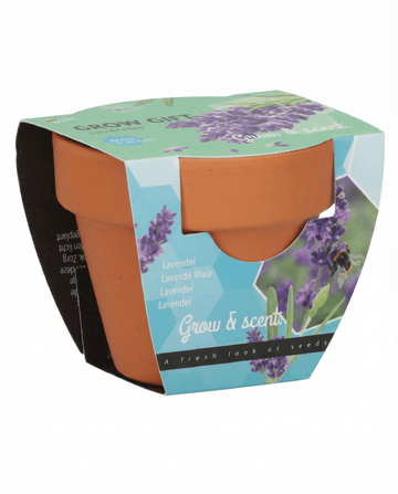 Lavendel (Lavandula angustifolia) – odlingskit med frön av flerårig ört från SeedsChoice