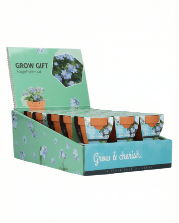 Förgätmigej (Myosotis alpestris) – odlingskit med frön från SeedsChoice
