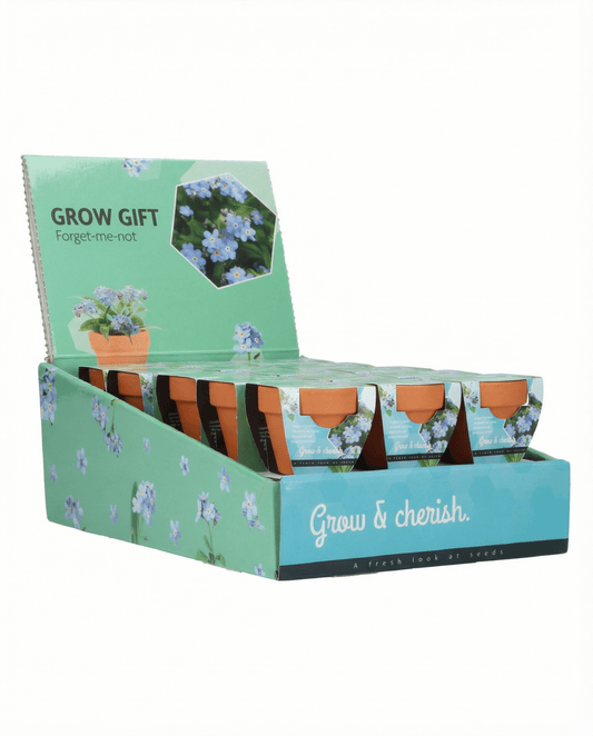 Förgätmigej (Myosotis alpestris) – odlingskit med frön från SeedsChoice