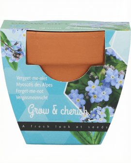 Förgätmigejfrön Myosotis Alpestris odlingskit