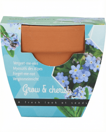 Förgätmigejfrön (Myosotis alpestris) – odlingskit