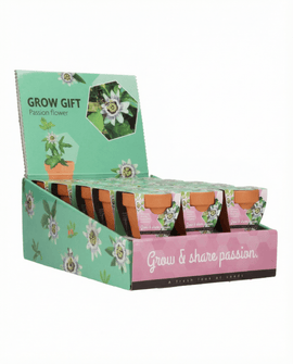 Passiflora-frön passionsblomma odlingspresentkit terrakottakruka 30-pack