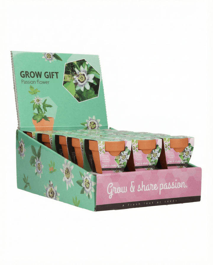 Passiflora odlingskit – presentset med terrakottakruka, 30 frön