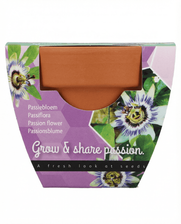 Passiflora odlingskit – presentset med terrakottakruka, 30 frön från SeedsChoice