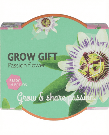 Passiflora odlingskit – presentset med terrakottakruka, 30 frön från SeedsChoice