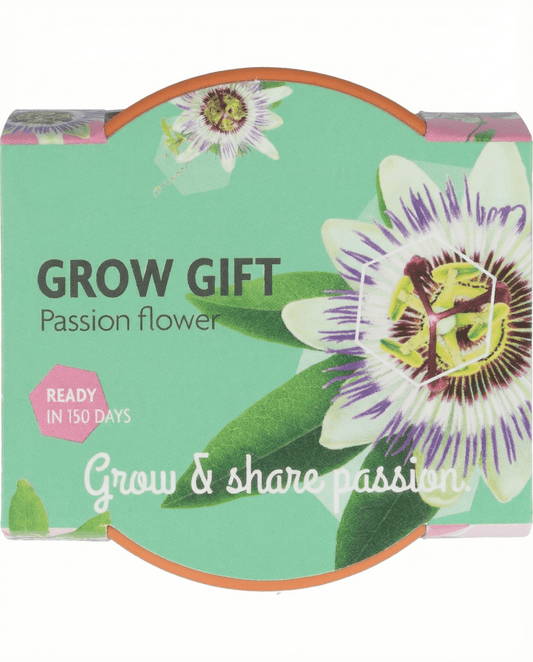 Passiflora odlingskit – presentset med terrakottakruka, 30 frön från SeedsChoice