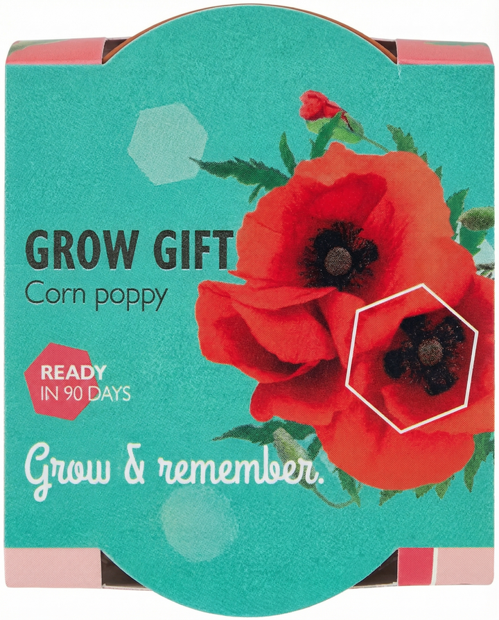 Frön av kornvallmo terrakottakruka (Papaver rhoeas) – ettårigt odlingskit