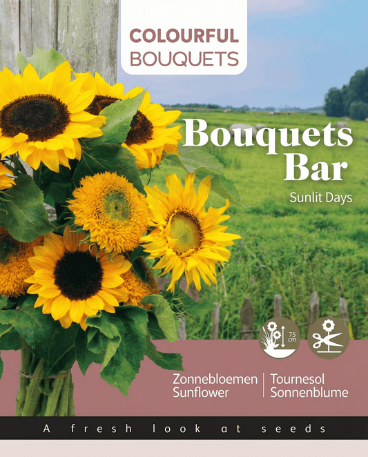 Solros 75 Cm Bouquet Mix (Helianthus annuus) – ettåriga blomsterfrön från SeedsChoice