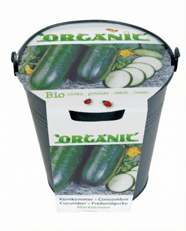 Gurkafrön ekologisk Cucumis sativus sort Marketmore