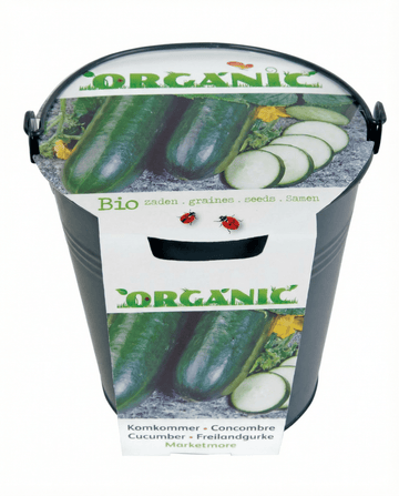 Gurka Marketmore frön (Cucumis sativus) – ekologisk grönsak