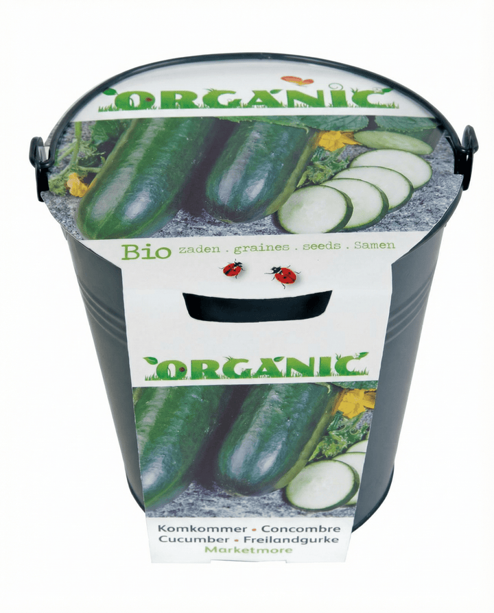 Gurka Marketmore frön (Cucumis sativus) – ekologisk grönsak
