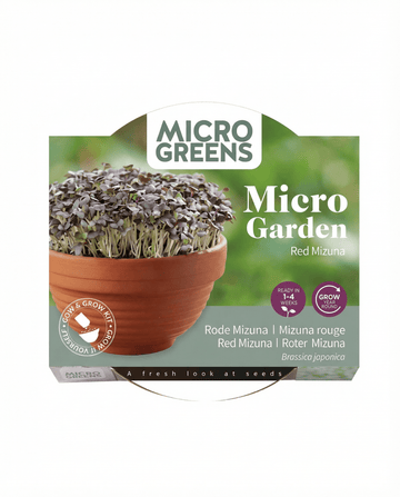 Red Mizuna mikrogrönt Terracotta grönsaker frön – odlingskit från SeedsChoice