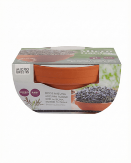 Red Mizuna frön Brassica japonica mikrogrönt Terracotta kit grönsaker