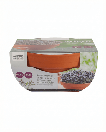 Red Mizuna mikrogrönt Terracotta grönsaker frön (Brassica japonica) – odlingskit