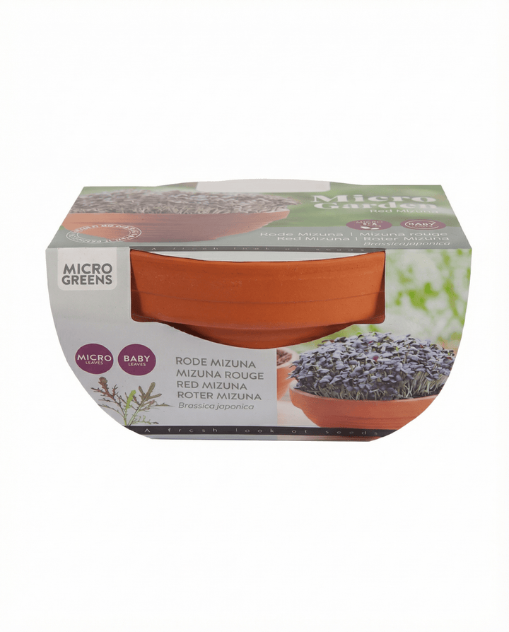 Red Mizuna mikrogrönt Terracotta grönsaker frön (Brassica japonica) – odlingskit