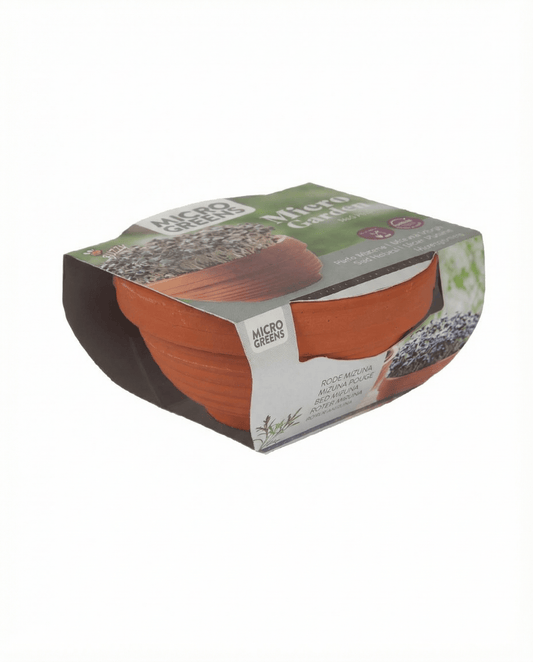 Red Mizuna mikrogrönt Terracotta grönsaker (Brassica japonica) – odlingskit med frön från SeedsChoice