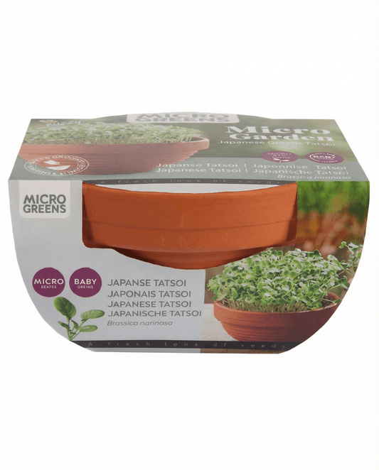 Tatsoi Microgreens Terrakottaskål (Brassica narinosa) – odlingskit frön från SeedsChoice