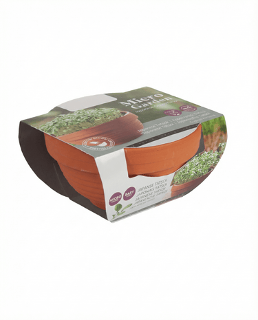 Tatsoi Microgreens Terracotta Dish seeds (Brassica narinosa) – grow kit