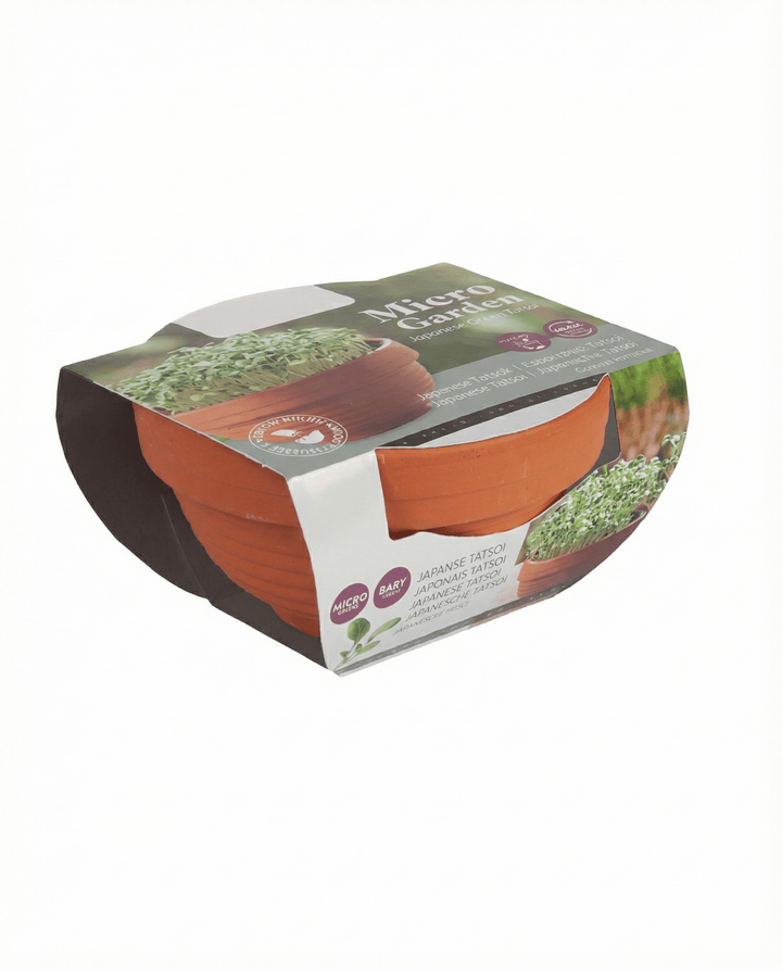 Tatsoi Microgreens Terrakottaskål frön (Brassica narinosa) – odlingskit