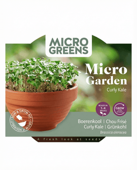 Grönkålsfrön Brassica Oleracea microgreens kit terrakottafat