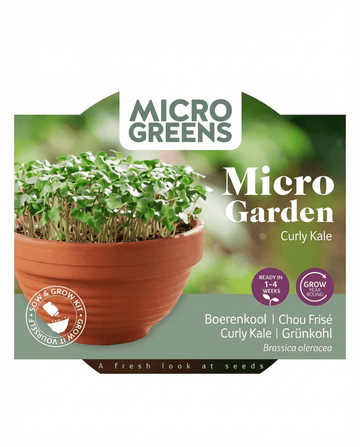 Frön av kruskål Microgreens Terracotta Dish (Brassica oleracea) – odlingssats