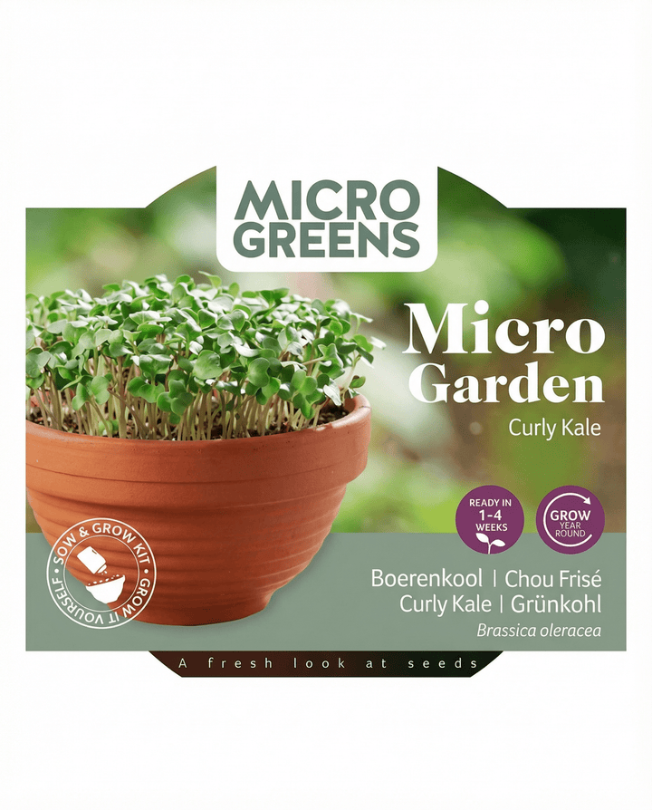 Frön av kruskål Microgreens Terracotta Dish (Brassica oleracea) – odlingssats