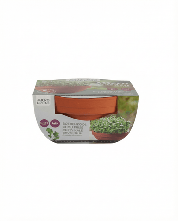 Kruskål Microgreens Terracotta Dish (Brassica oleracea) – odlingssats från SeedsChoice