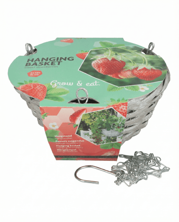 Jordgubbe för hängkorgar Temptation (Fragaria × ananassa) – odlingskit från SeedsChoice