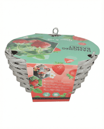Jordgubbsfrön för hängkorgar Temptation (Fragaria × ananassa) – odlingskit