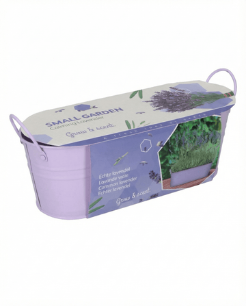 Lavendel (Lavandula angustifolia) – odlingskit med frön av flerårig ört från SeedsChoice