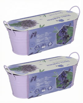 Lavendelfrön Lavandula Angustifolia Flerårig ört Kit