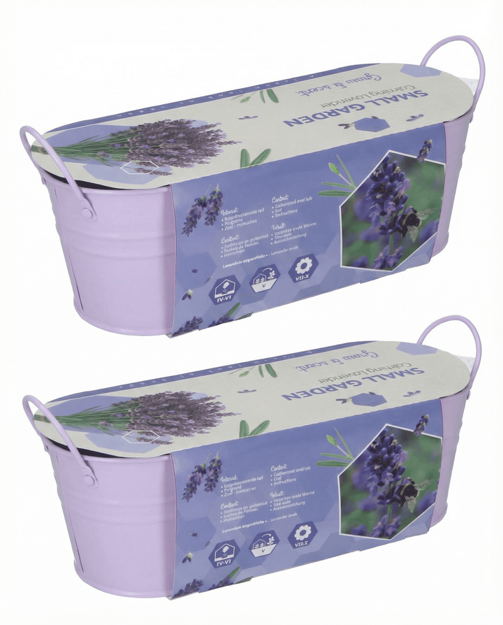 Lavendelfrön (Lavandula angustifolia) – flerårig odlingskit