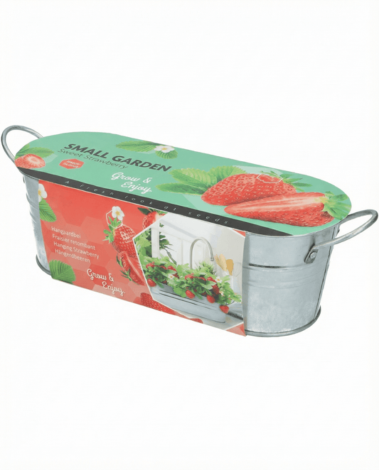 Hängande jordgubbe (Fragaria ananassa) – fleråriga frön från SeedsChoice