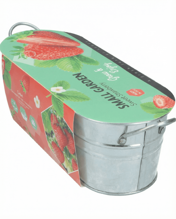 Hängande jordgubbsfrön (Fragaria ananassa) – flerårig