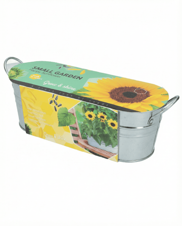 Dvärgsolros lågväxande frön (Helianthus annuus) – blomma