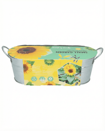 Dvärgsolros lågväxande (Helianthus annuus) – blomsterfrön från SeedsChoice