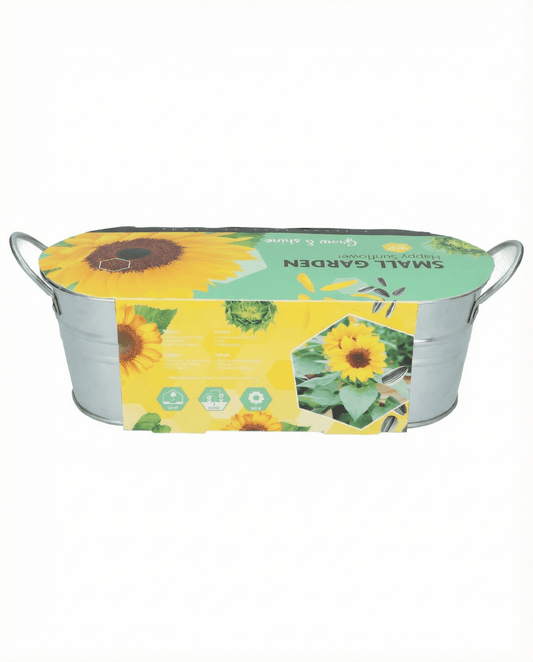 Dvärgsolros lågväxande (Helianthus annuus) – blomsterfrön från SeedsChoice