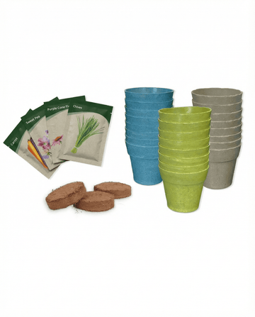Adventskalender – frönset med 24 blandade sorter – odlingssats