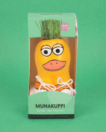 Italienskt rajgräs andfigur (Lolium multiflorum) – odlingskit frön från SeedsChoice