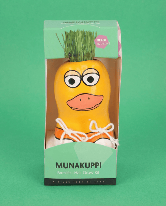Italienskt rajgräs andfigur (Lolium multiflorum) – odlingskit frön från SeedsChoice